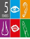 Your Five Senses 